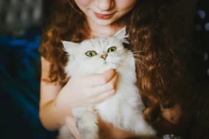 A young girl with long, curly brown hair gently cradles a fluffy white cat with bright yellow eyes against her chest.